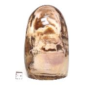 Bois Fossile Forme Libre 04069