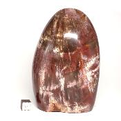 Bois Fossile Forme Libre 04071