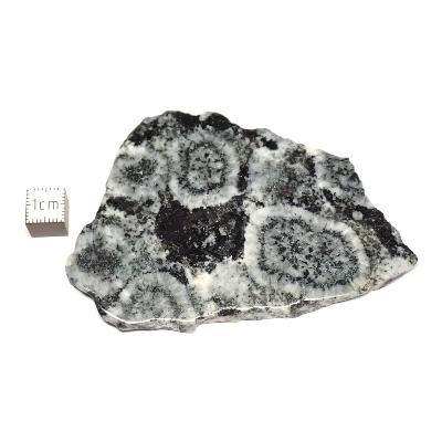 Diorite Orbiculaire Plaque 0113