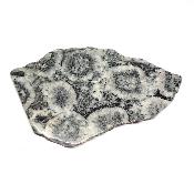 Diorite Orbiculaire Plaque 0115