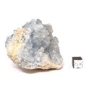 Célestine Pierre brute 15731