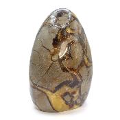 Septaria Forme Libre 20005