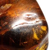Ambre de la Baltique morceau poli 2038