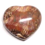 Bois Fossile Coeur 2046
