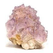 Cristal Cactus Brute 2053