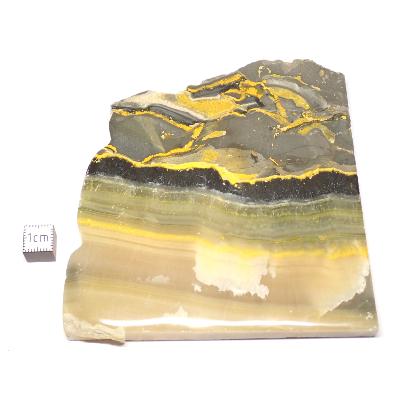 Jaspe Abeille Plaque 2277