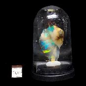 Opale d'Ethiopie Pierre Brute 2298