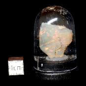 Opale d'Ethiopie Pierre Brute 2307