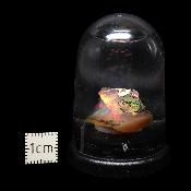 Opale d'Ethiopie Pierre Brute 2318