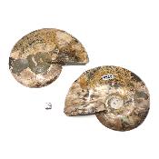 Ammonite sciée 2328