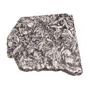 Pinolite Plaque 2335