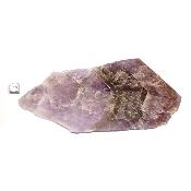 Super Seven Plaque 2369