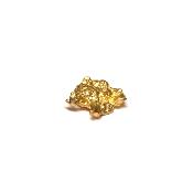 Pépite d'Or 2667