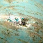 Chrysocolle boule 2803