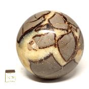 Septaria Boule 2830