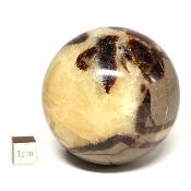 Septaria Boule 2831