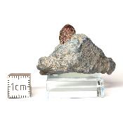 Bénitoite avec inclusion de Neptunite pierre brute 0006