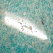 Amazonite Forme Libre 0095