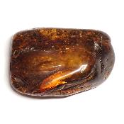 Ambre de la Baltique morceau poli n° 05953