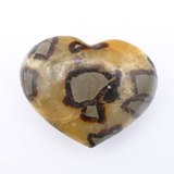 Septaria Coeur - Numrot(e)s