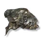 Météorite Sidérite Sikhote-Alin 11811