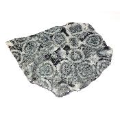 Diorite Orbiculaire Plaque 0125