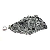 Diorite Orbiculaire Plaque 0127
