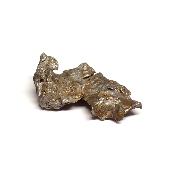 Météorite Sidérite Sikhote-Alin 15162