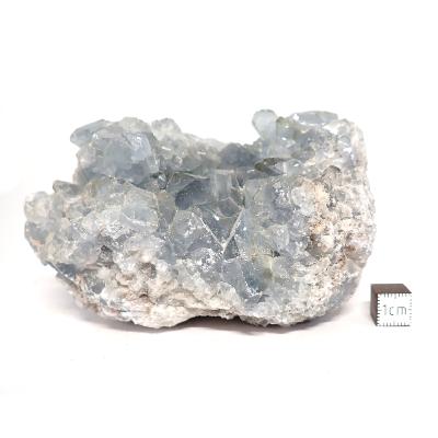 Célestine Pierre brute 15730