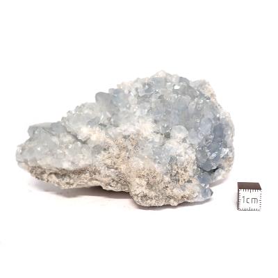 Célestine Pierre brute 15736