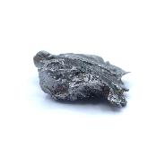 Météorite Sidérite Sikhote-Alin 19866