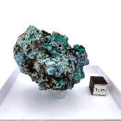 Shattuckite et Dioptase pierre brute 14940