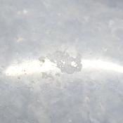 Calcite Bleue Coeur 2040