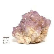 Cristal Cactus Brute 2053