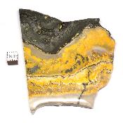 Jaspe Abeille Plaque 2279