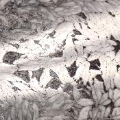 Pinolite Plaque 2337