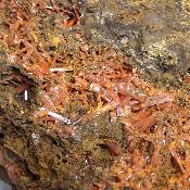 Crocoïte pierre brute 2407