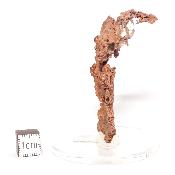 Cuivre Natif pierre brute 2576