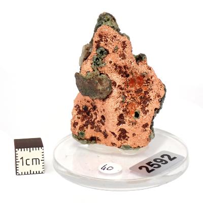 Cuivre Natif pierre brute 2592