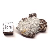 Pierre de Croix de Russie Pierre Brute 2706