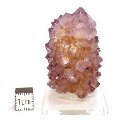 Cristal Cactus Brute 2727