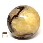 Septaria Boule 2828