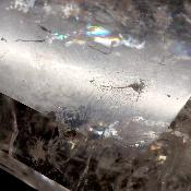 Cristal Vogel Plat 3029