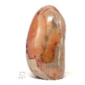 Jaspe Polychrome Forme Libre 0073
