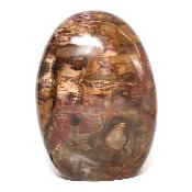 Bois Fossile Forme Libre 0075