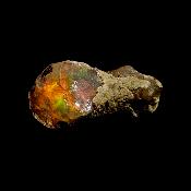 Opale d'Ethiopie - 16.70 carats - 07726