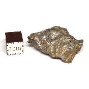 Météorite Sidérite Sikhote-Alin 15165