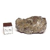 Météorite Sidérite Sikhote-Alin 15172