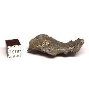 Météorite Sidérite Sikhote-Alin 15175