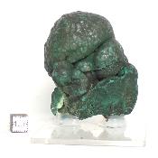 Malachite stalactite Pierre Brute 15264